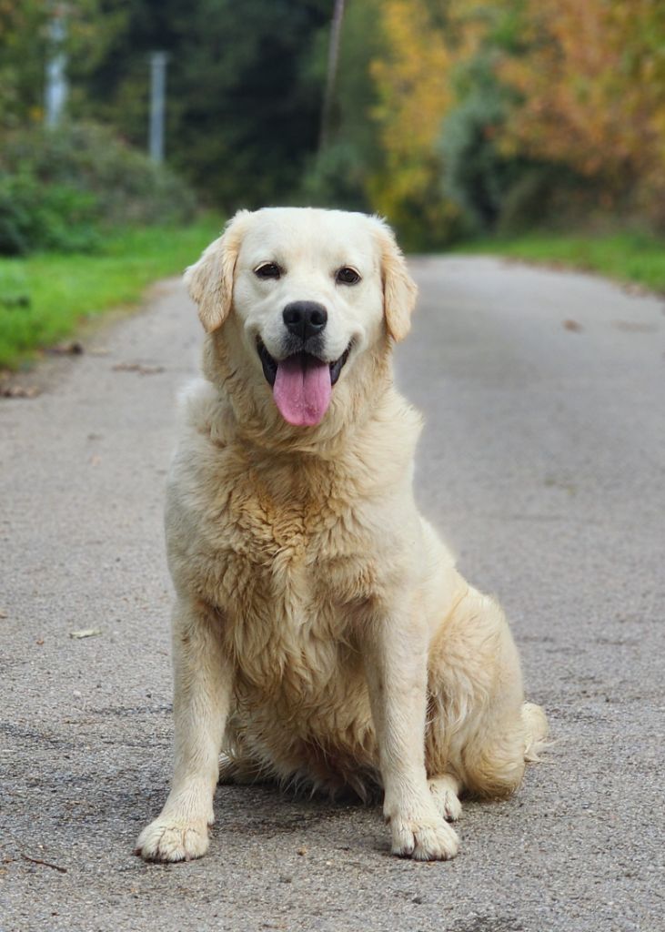 Vega des Anges de la Claie