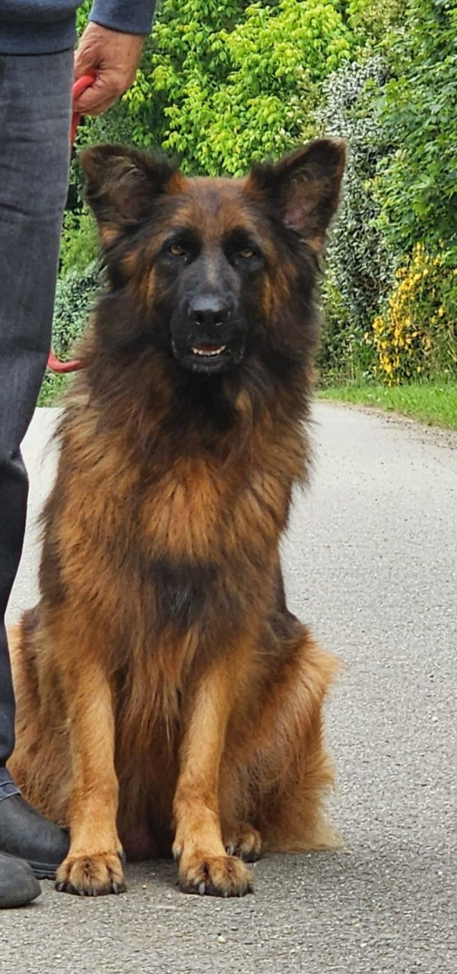 Silka des Anges de la Claie