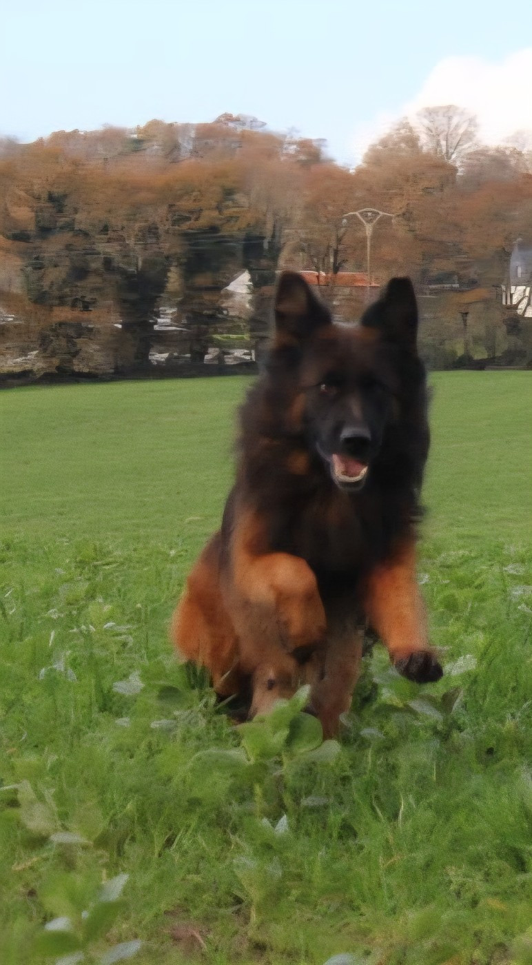 Silka des Anges de la Claie